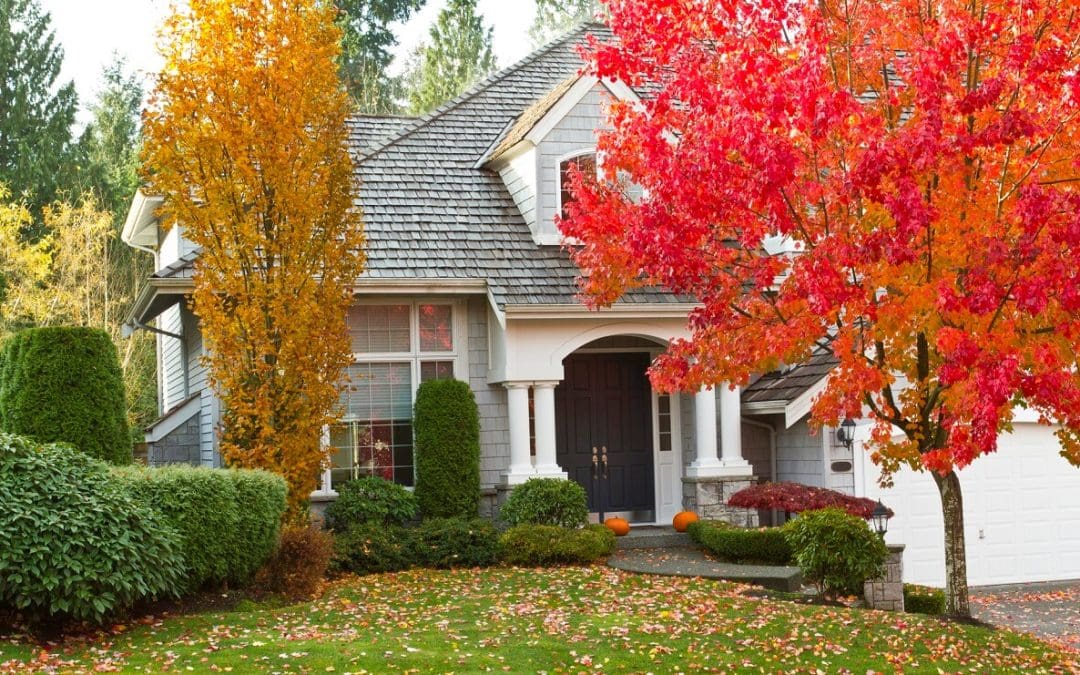 fall curb appeal