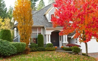 Fall Curb Appeal: A Guide to a Beautiful Autumn Home