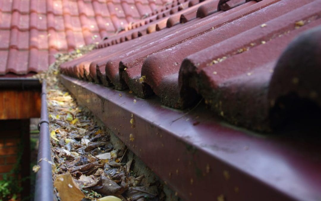 6 Spring Exterior Home Maintenance Ideas