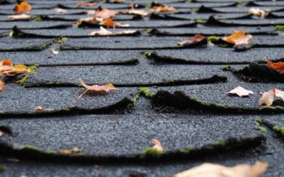 7 Sure Signs You Need a New Roof
