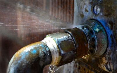 Don’t Wait for the Flood: Signs of Plumbing Problems Every Homeowner Should Recognize